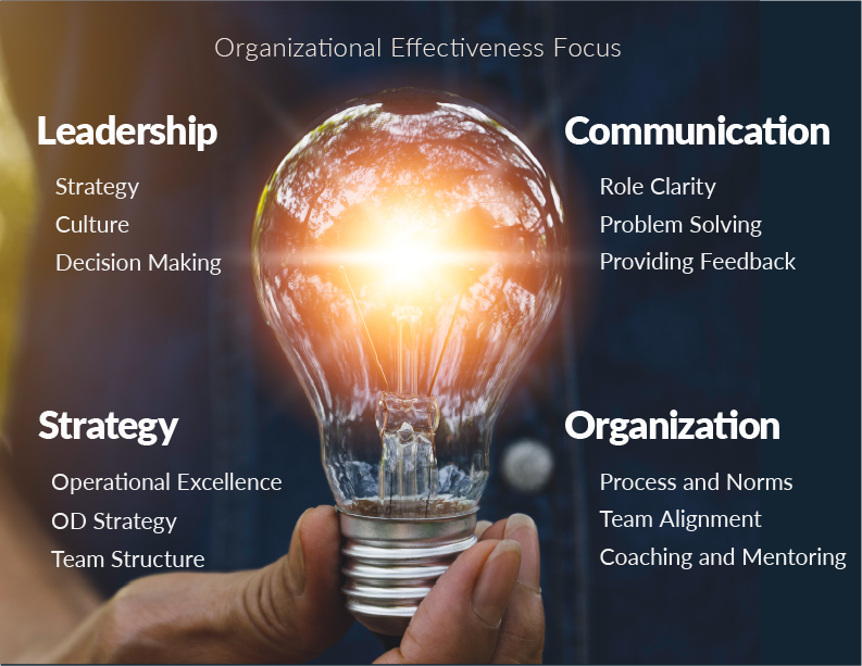 MaxSynergy Strategic Approach graphic